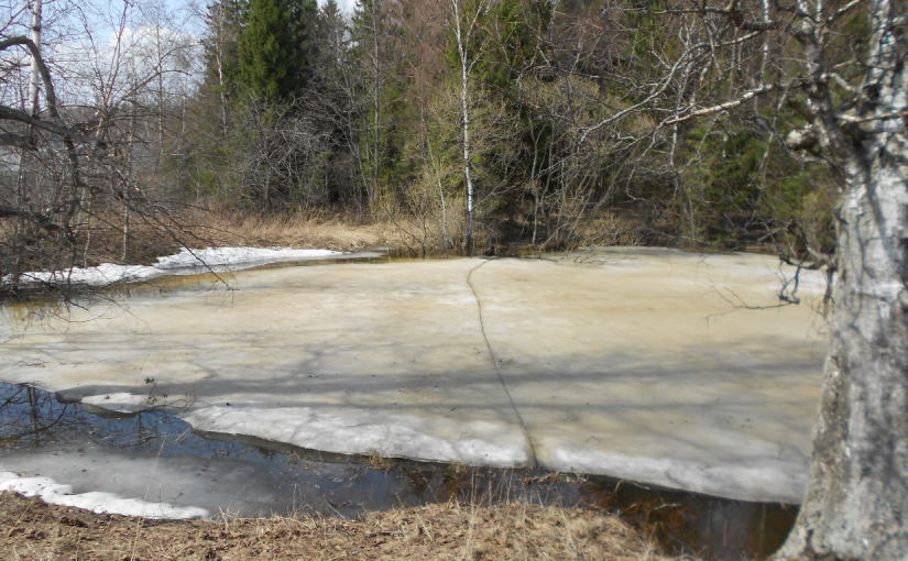 ПОЛОН ПРУД ВОДИЦЫ ТАЛОЙ